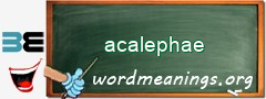 WordMeaning blackboard for acalephae